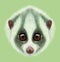 Illustrated Portrait of Slow loris.