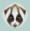 Illustrated Portrait of Slow loris