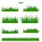 Illustrated vector green grass with flower and leaf set
