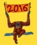 Illustration 2016 monkey orangutan