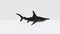 Illustration of a 3D rendering of a scalloped hammerhead on a white background