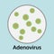 Illustration of Adenovirus disease in the trial tray, medical