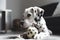 illustration, adorable dalmatian playing with a ball, ai generative