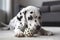 illustration, adorable dalmatian playing with a ball ,ai generative