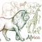 Illustration of African animals.