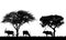 Illustration of African landscape on safari with antelopes or gazelles under tropical trees. Animals graze on the grass. Isolated