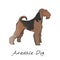 Illustration of airedale dog breed