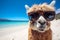 illustration of an alpaca wearing sunglasses on the beach. Generative AI