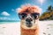 illustration of an alpaca wearing sunglasses on the beach. Generative AI