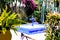 Illustration. Amazing tropical botanical garden with fountain and different types of plants, Le Jardin Majorelle.