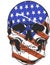 Illustration America Flag painted on a skull