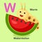 Illustration Animal Alphabet Letter W-Watermelon,Worm