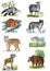 Illustration. Animals Bear. Sheep. Wolf. Hare. Lynx. Badger. Ram. Beaver.