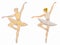 Illustration of ballerina, vector draw