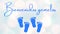 Illustration, banner, design or card with the Welcome Twins written in spanish. Blue colors for babies boys. Suitable for baby