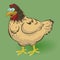 Illustration of a beautiful chicken with a surprised look. Refined chicken in brown tones.