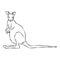 Illustration : Beautiful kangaroo line shots.
