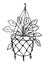 Illustration of beautiful Potted home hanging plant. Hand Drawn illustration.