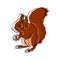 Illustration:Beautiful squirrel image, used in general work