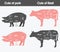 Illustration of beef, pork Cuts Chart