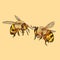 Illustration of bees flying together