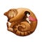 Illustration: The Big Cat Sleeps into a Ball and the Little Girl Sleeps with him Together.