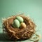 Illustration of bird eggs in a natural nest on a pastel mint green background
