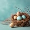 Illustration of bird eggs in a natural nest on a pastel mint green background