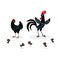 Illustration of black chicken family isolated on white background