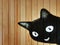 Illustration on Black Smiling Cat on Wooden Plank Wall