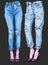 Illustration of blue jeans with embroidery for your design