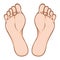 Illustration of body part, plant or sole of right foot, caucasian