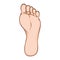 Illustration of body part, plant or sole of right foot, caucasian