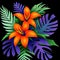 illustration of a bouquet of exotic purple blue leaves and orange flowers on a black background