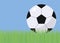 Illustration with bright green grass football field blue sky and black and white voluminous simple soccer ball with gloss and shad