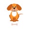 Illustration, brown cute cartoon dog, puppy with bone