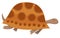 illustration of brown turtle - vector