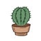 Illustration of a cactus. Color vector illustration in cartoon style. Freehand flat illustration