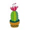 Illustration of cactus. Vector. Cacti vector