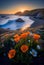 An Illustration of California poppy flowers along the Pacific coast in springtime