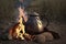 illustration, campfire camping kettle cozy camping spot in wild and generative ai