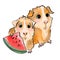 illustration cartoon childish style cute watercolor guinea pigs animals on white background with watermelon sticker cover design