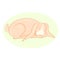 Illustration of cartoon sleeping rabbit