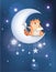 Illustration The Cat on the Moon