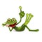 Illustration of a Cheerful Green Frog with Index Finger