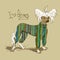 Illustration with Chinese Crested dog