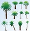 Illustration coconut trunk tree nature natural green vector design isolated palm beach tropical summer background forest travel