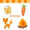 Illustration of color orange group