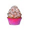 Illustration of a colored drawing of sweets: orange cupcake with pink violet cream and decorated with different colors