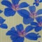 Illustration. Cross-stitch. Geranium, pelargonium. Texture of flowers. Seamless pattern for continuous replicate. Floral
